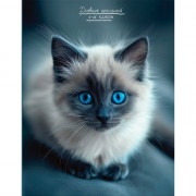 Дневник школьный твердая обложка (Prof-Press) Котенок с голубыми глазами глянцевая ламинация  матовый лак арт.Д40-3857