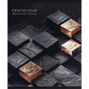 Тетрадь предметная 48 листов (Prof-Press) Black&Cold Геометрия холодная фольга софт-тач выборочный лак арт.48-2683
