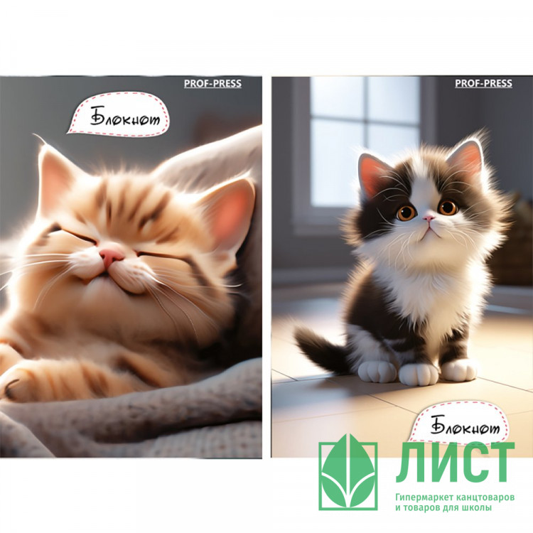 Блокнот А7 мягкая обложка склейка 48 листов (Prof-Press) Котик дома клетка ассорти арт.Б48-4704