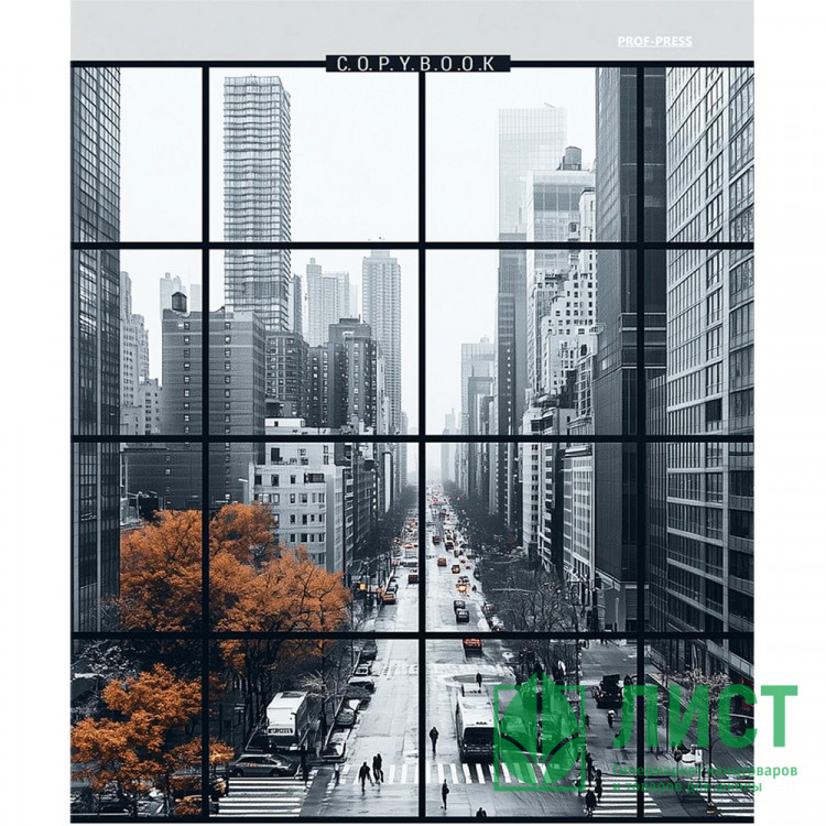 Тетрадь на кольцах А5 клетка 80 листов Prof-Press Вид на мегаполис глянцевая ламинация лен арт.Т80-4897