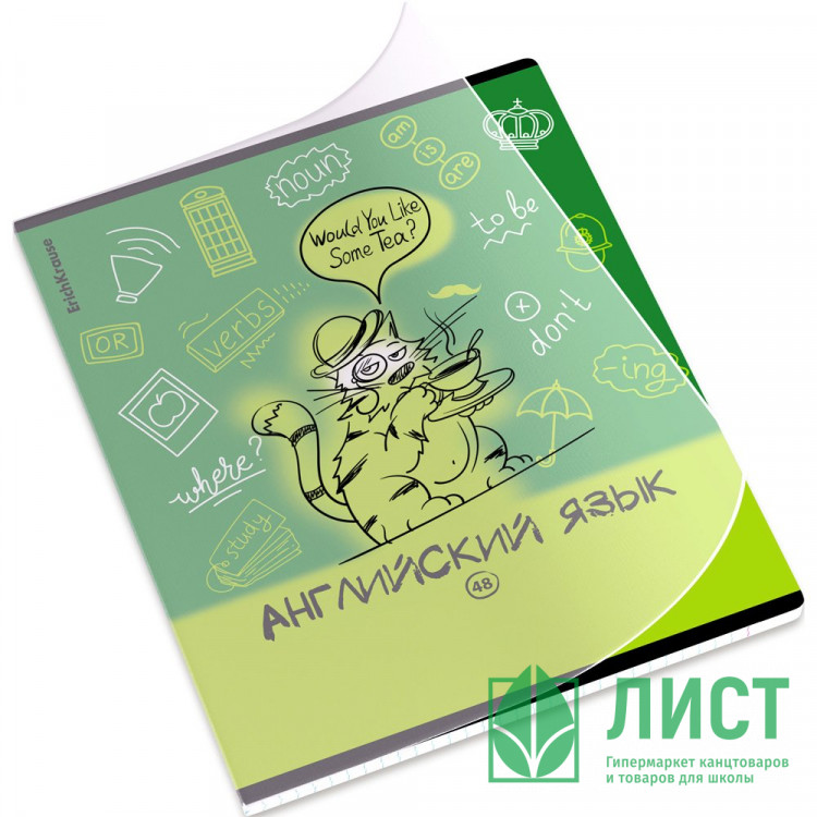 Тетрадь предметная 48 листов (ErichKrause) Котоформулы Английский язык пластиковая обложка арт.62535