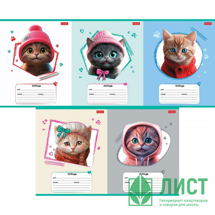 Тетрадь 12 листов линия (Hatber) Мы-котики! ассорти арт.12Т5В2