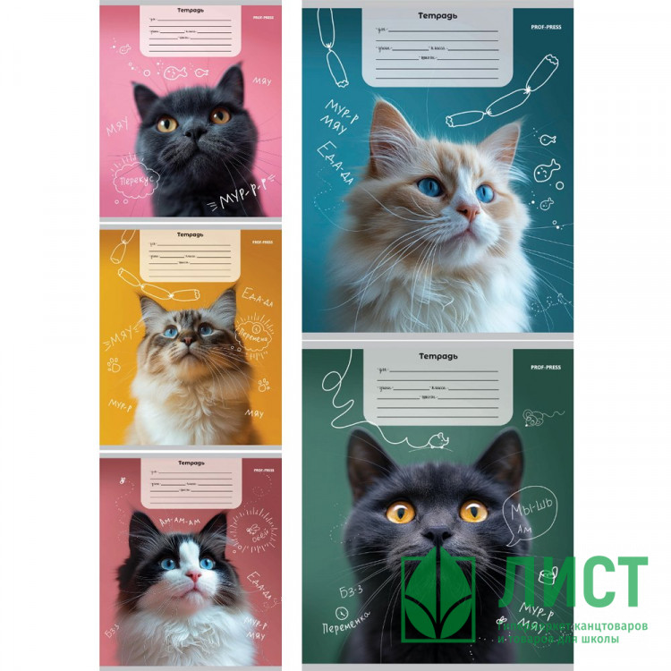 Тетрадь 12 листов косая линия (Profit) Портретные фото котов-1 ассорти арт.12-4277
